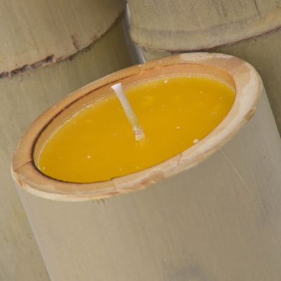 Vela Decorativa Citronela Bambú